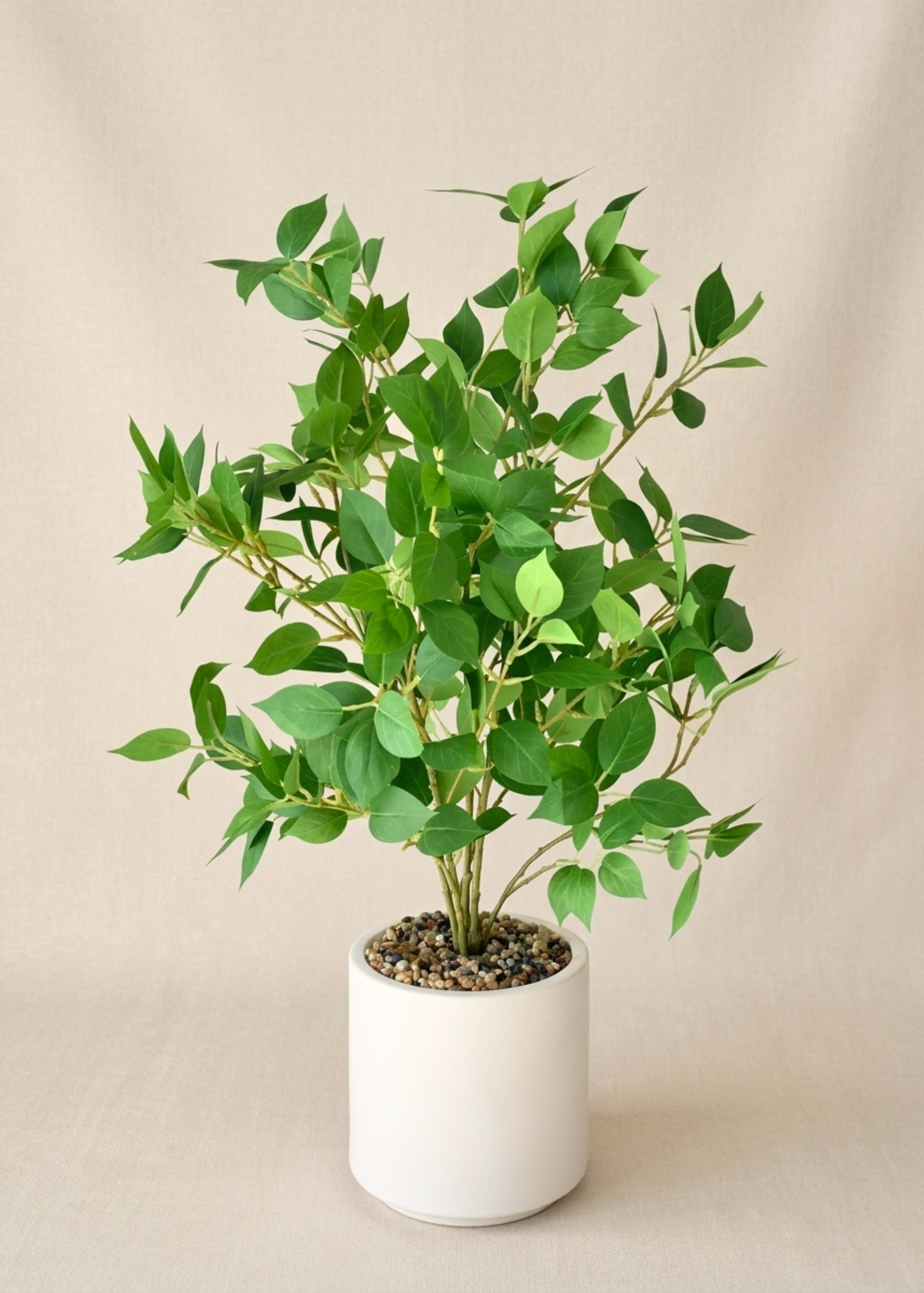 Artificial Ficus Plant- 2 Feet