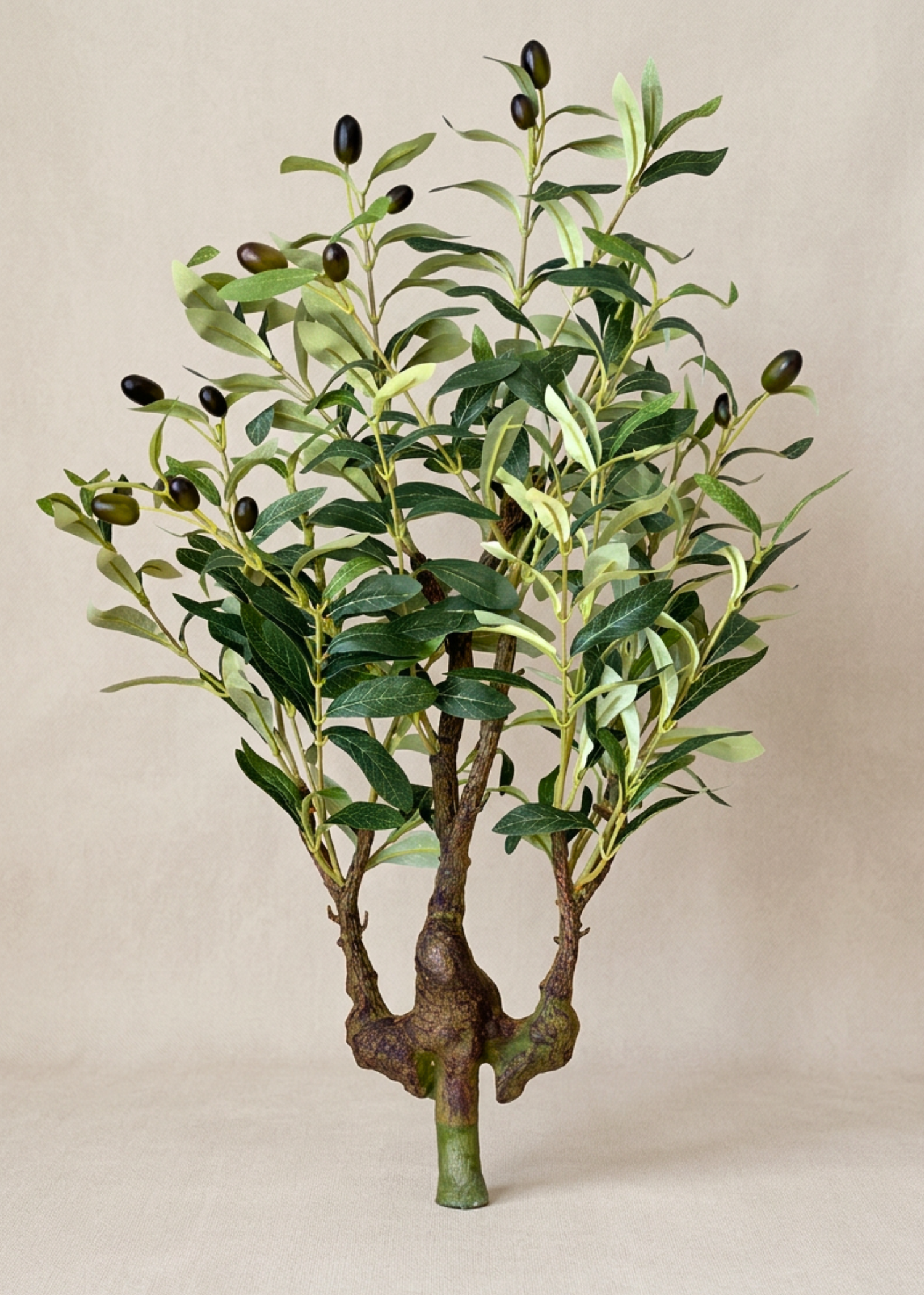 Artificial Olive Bonsai - 2 Feet