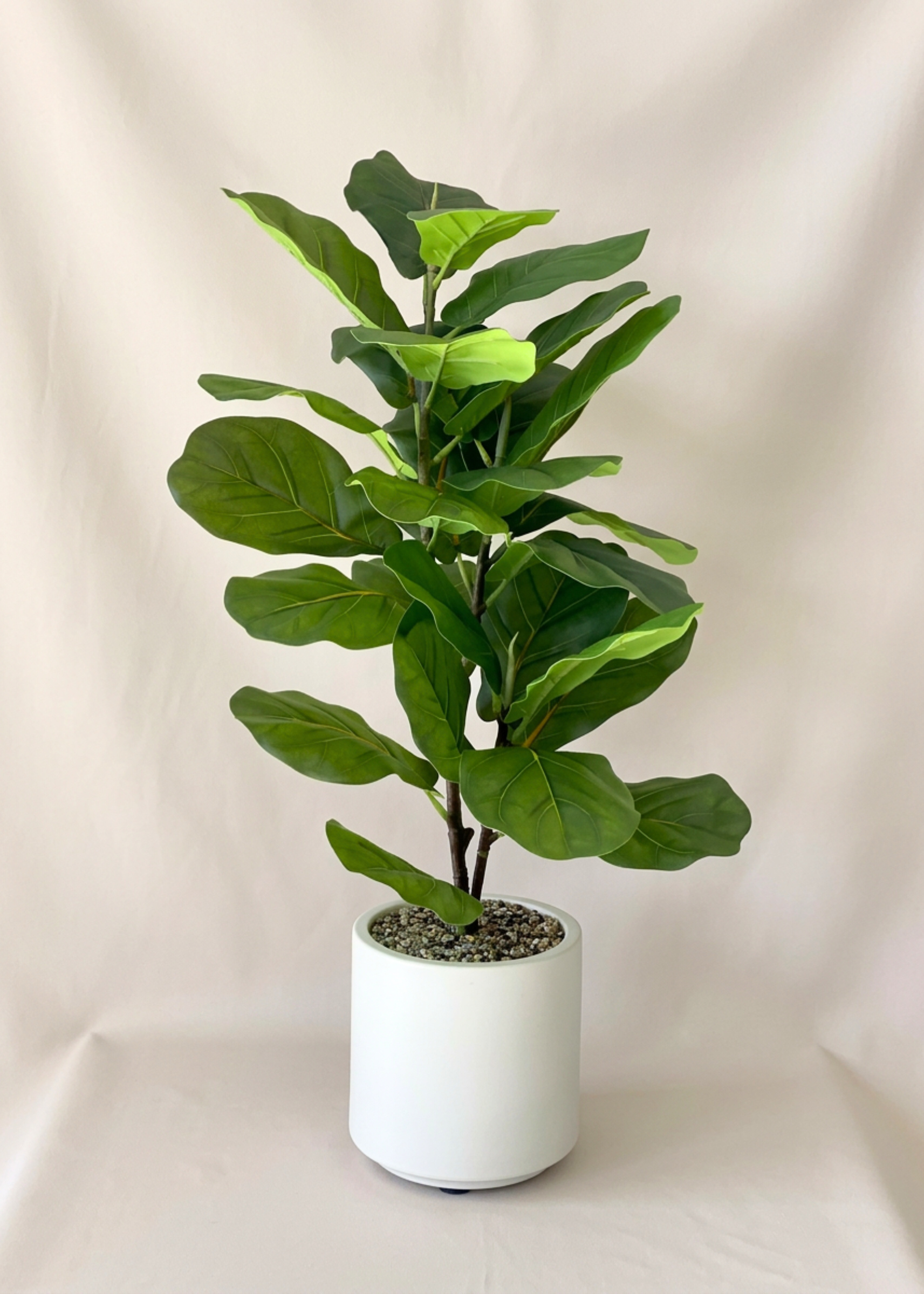 Artfiicial Fiddle Leaf Plant - 2.4 Feet