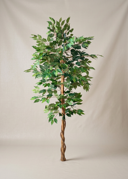 Artificial Weeping Ficus Plant - 5 Feet