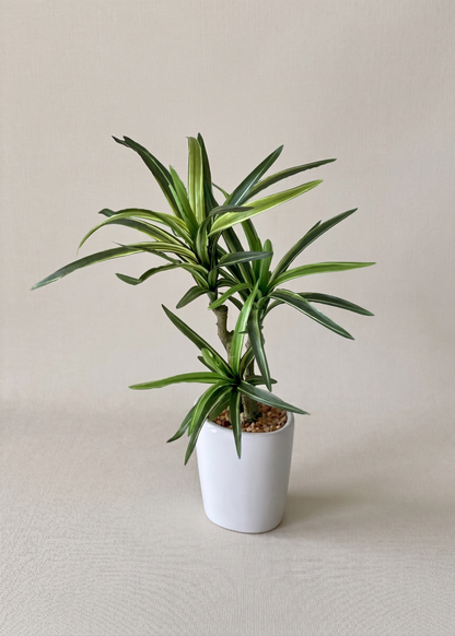Artificial Dracaena Marginata Plant - 1.2 Feet