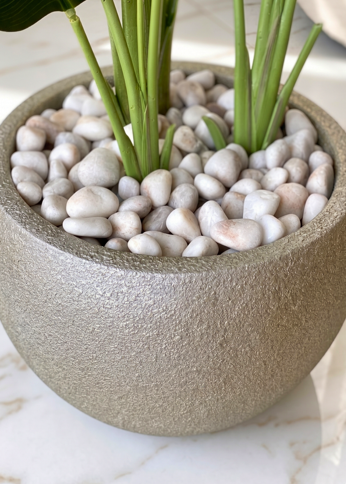Pebbles – White Polished Stones
