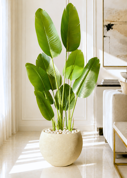 Artificial Cavendish Traveller Plant - 5 Feet