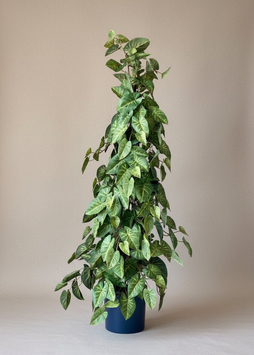 Artificial Money Plant - 4 Feet