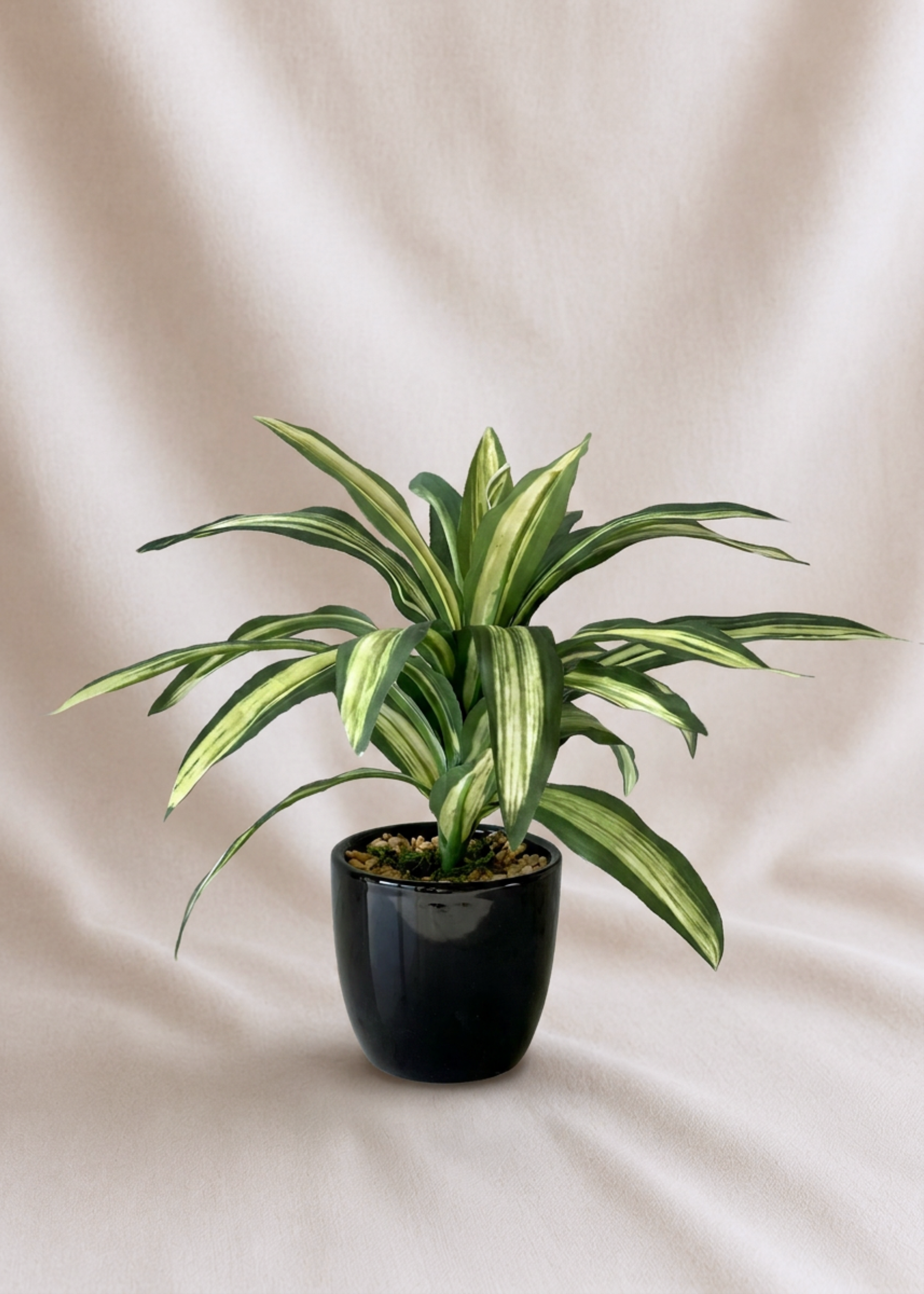 Artificial Variegated Dracaena Plant