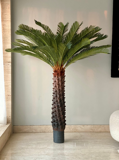 Artificial Cycas Plant - 5.5 Feet