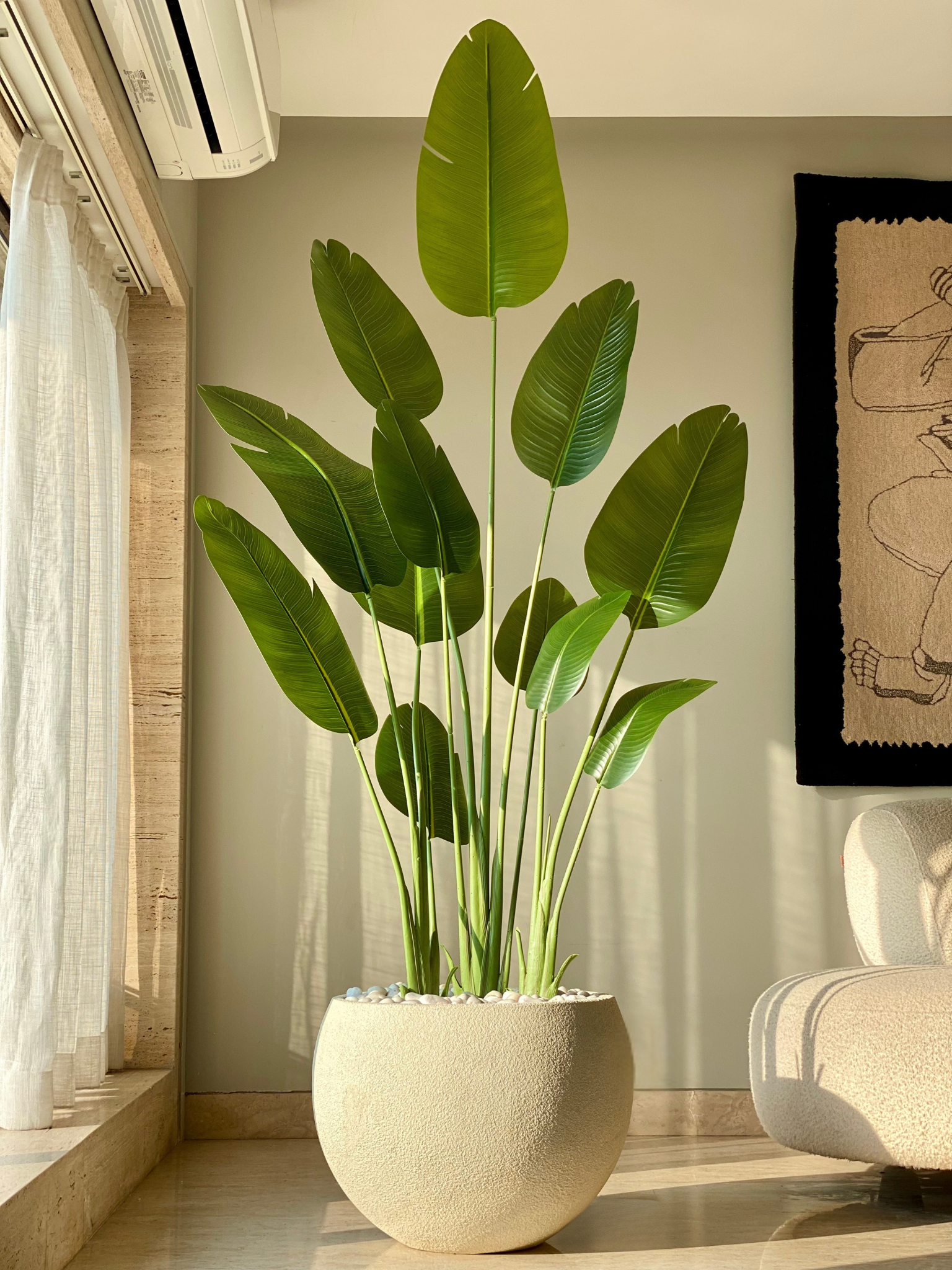 Artificial Cavendish Banana Plant - 7 Feet