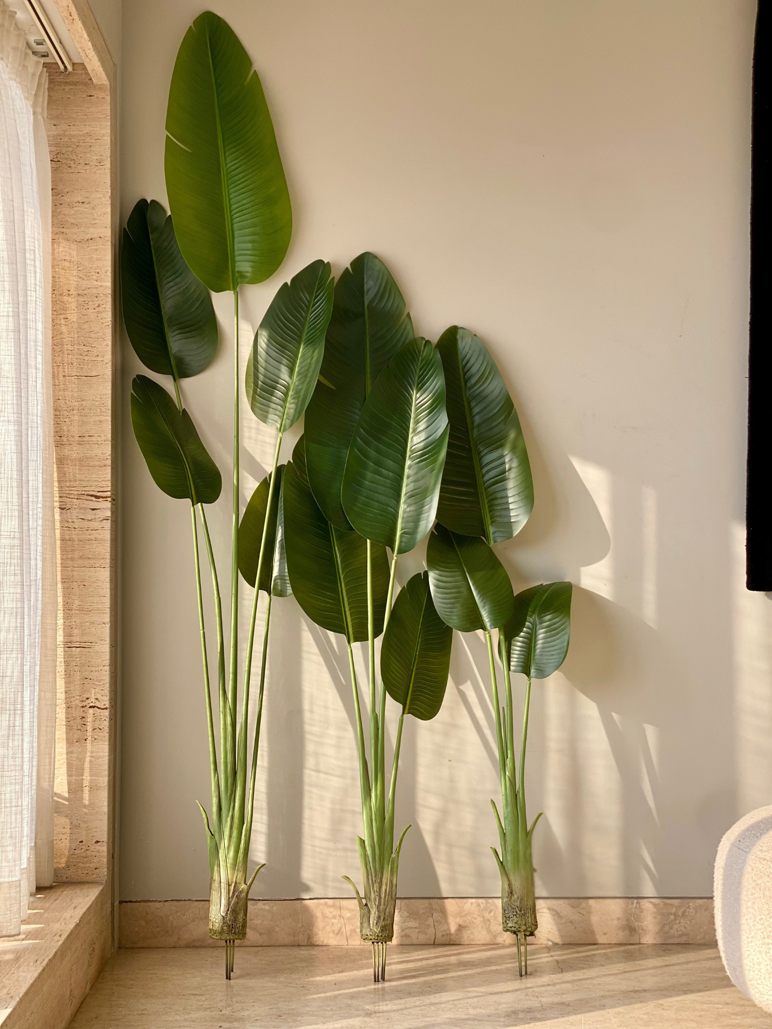 Artificial Cavendish Banana Plant - 7 Feet