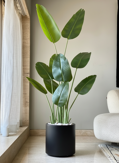 Oasis Planters - Black