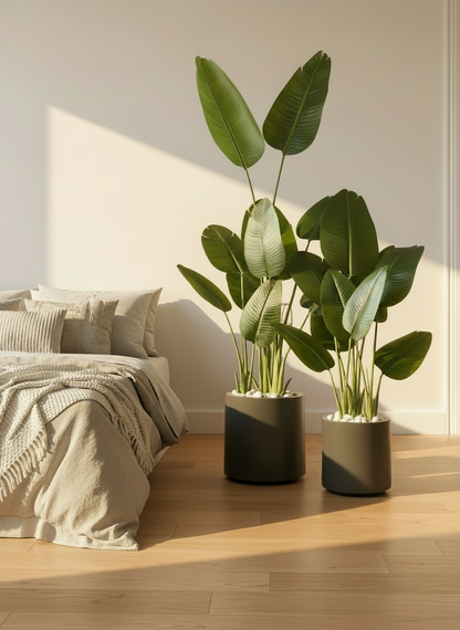 Oasis Planters - Dark Grey