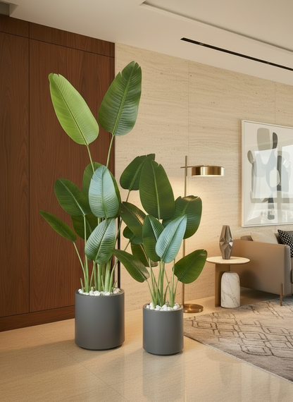 Oasis Planters - Dark Grey