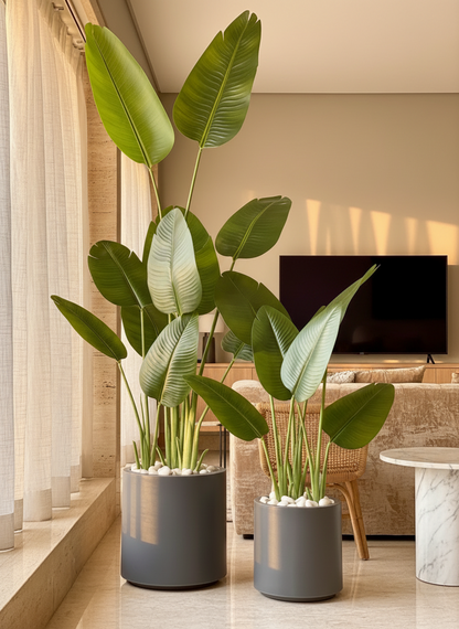 Oasis Planters - Dark Grey