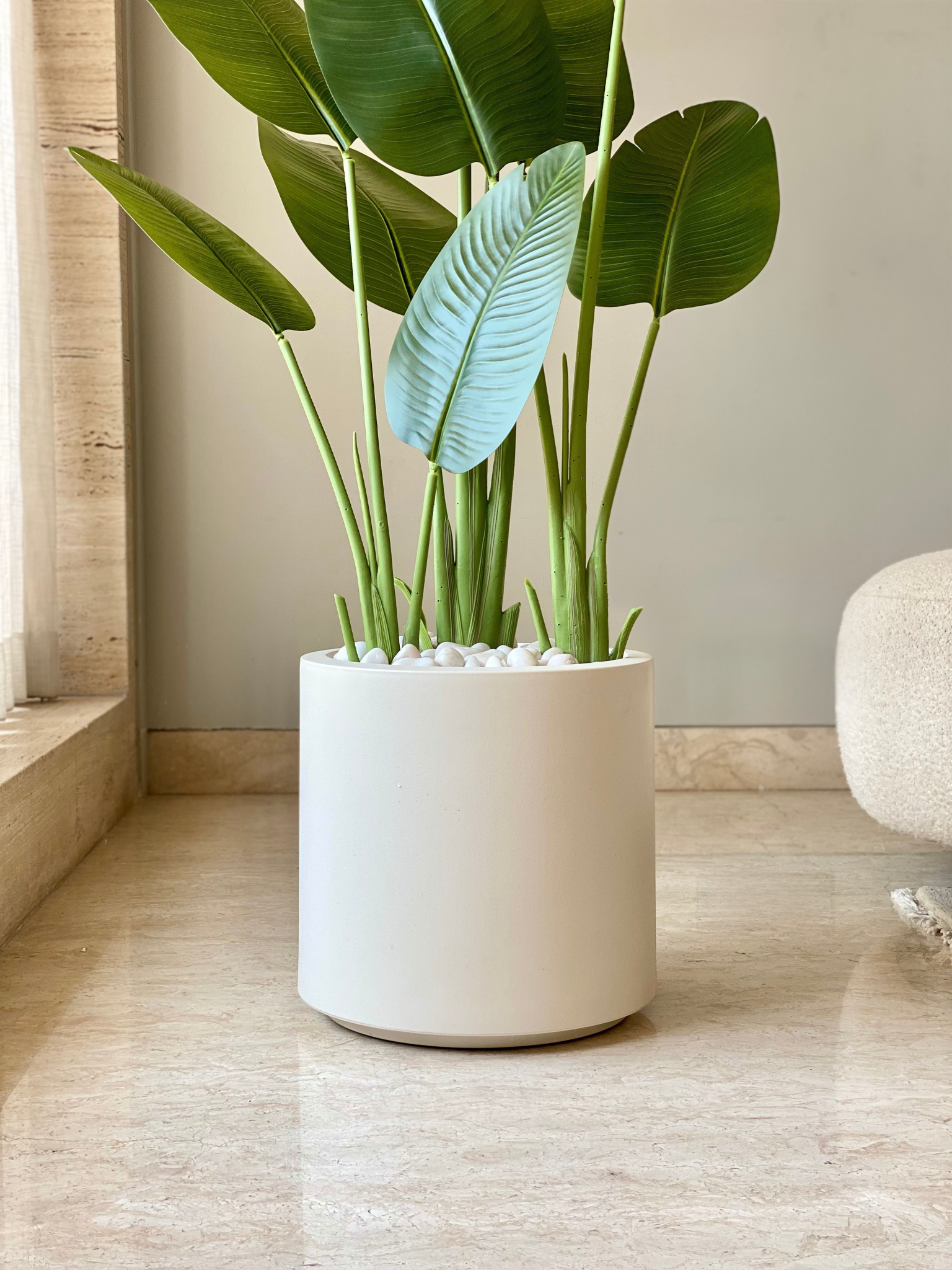 Oasis Planters - Ivory