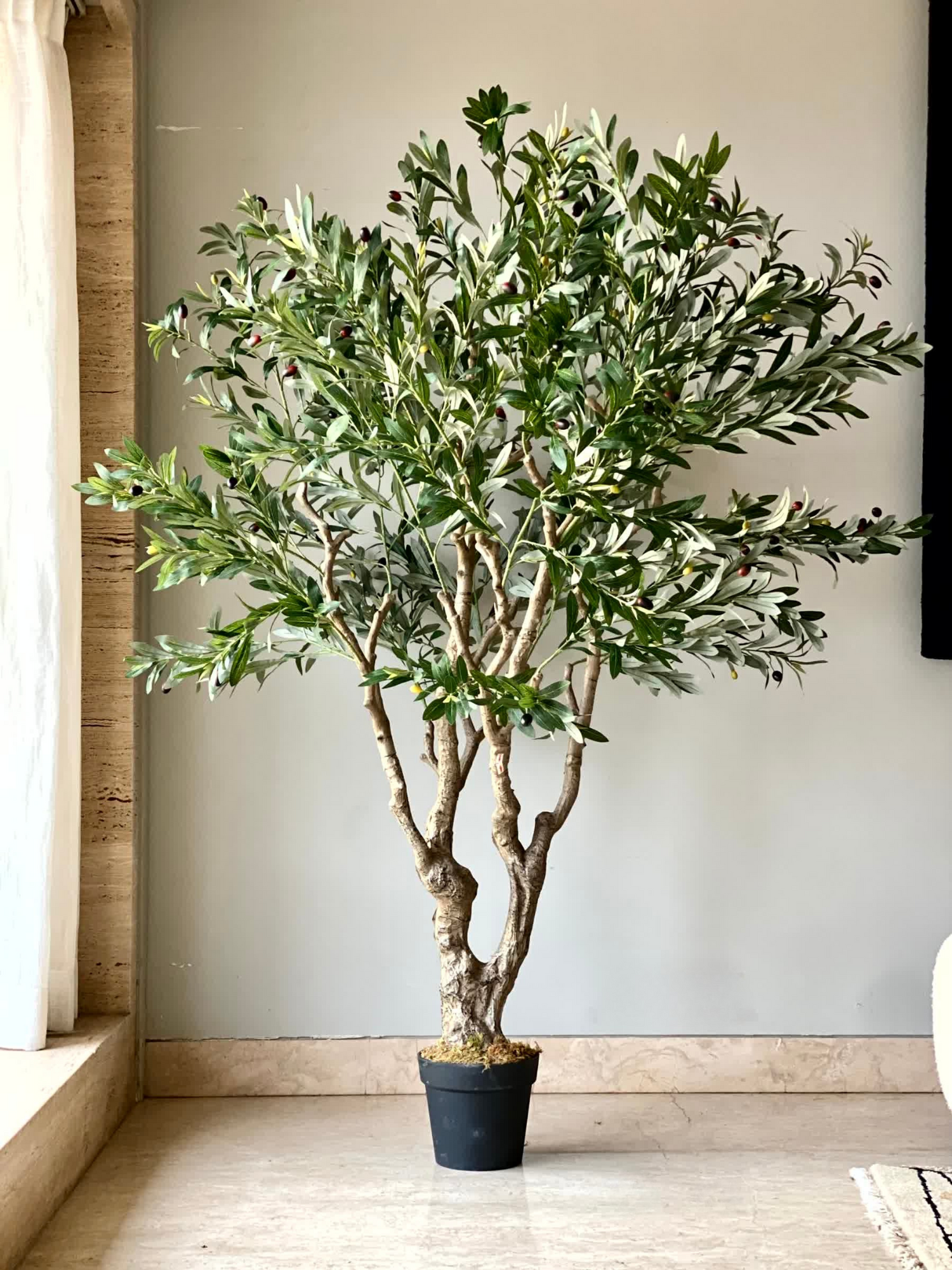 Artificial Olive Allure Plant -  6 Feet