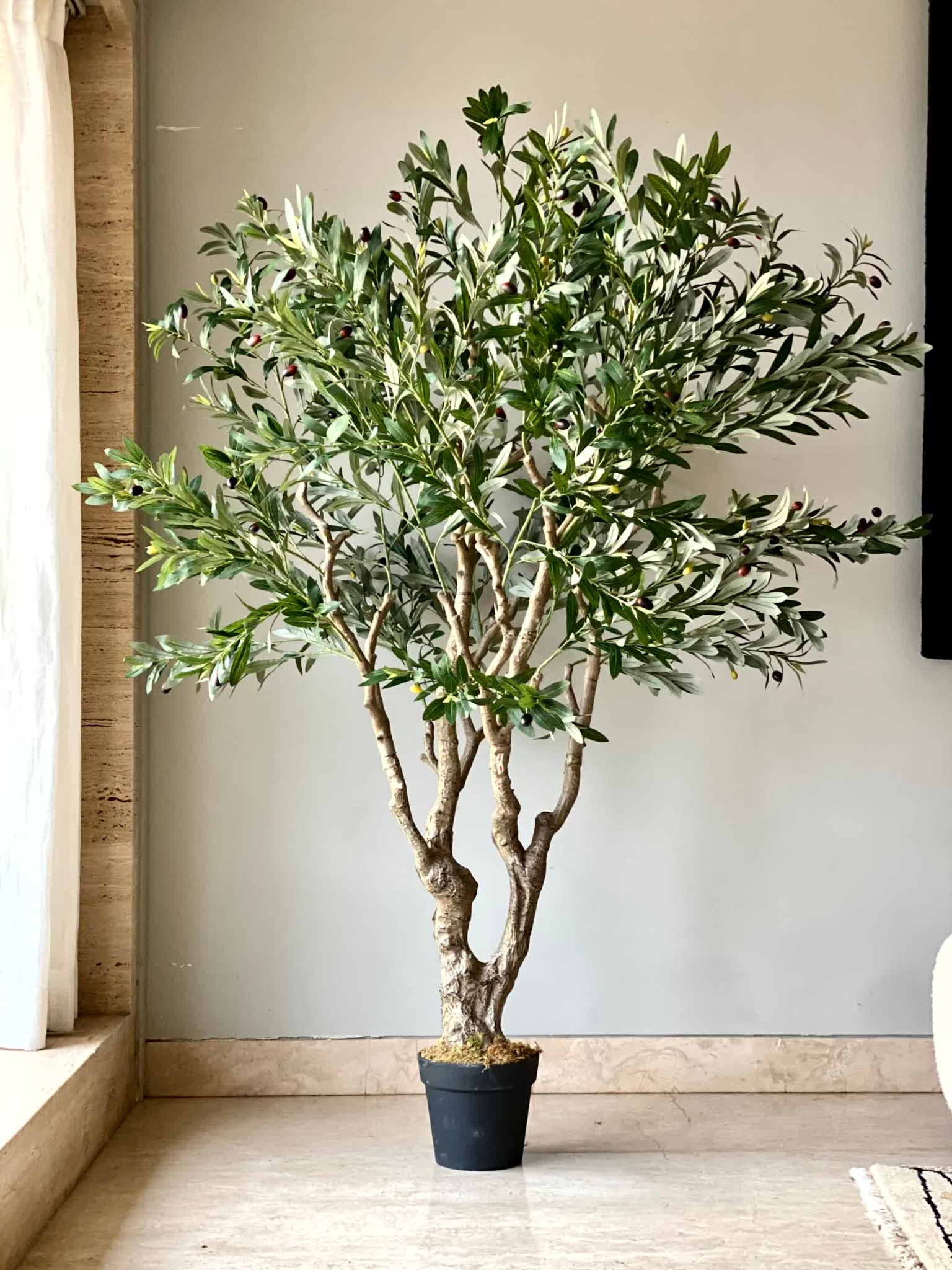 Artificial Olive Allure Plant -  6 Feet