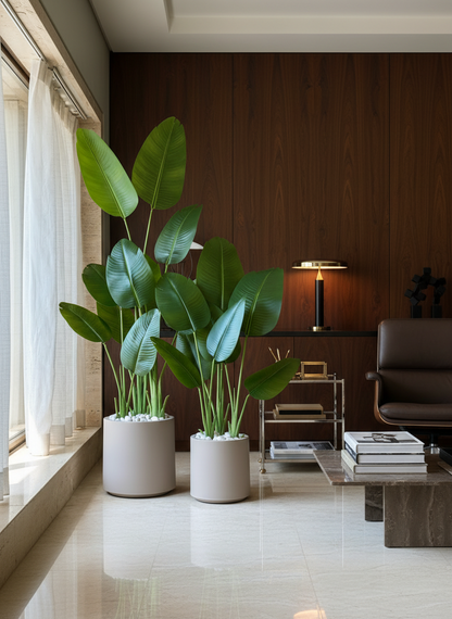 Oasis Planters - Beige