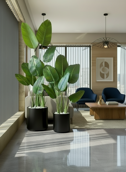 Oasis Planters - Black