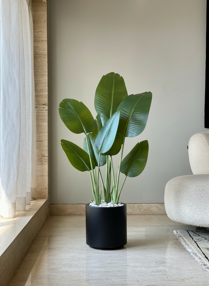 Oasis Planters - Black