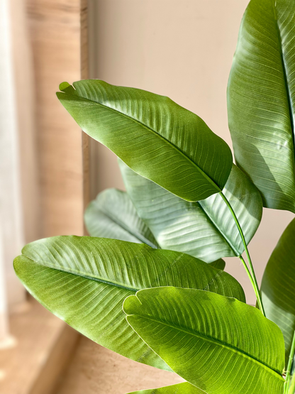 Artificial Central Travellers Palm Plant - 2.5 Feet