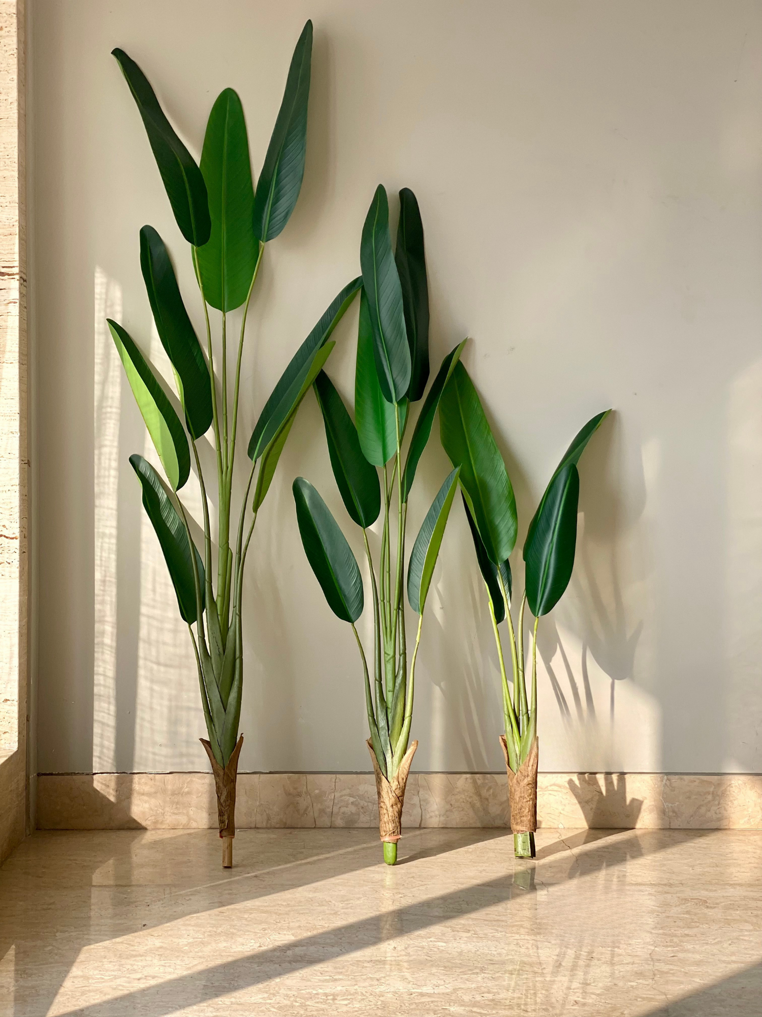 Artificial Slim Travellers Palm Plant - 5 Feet