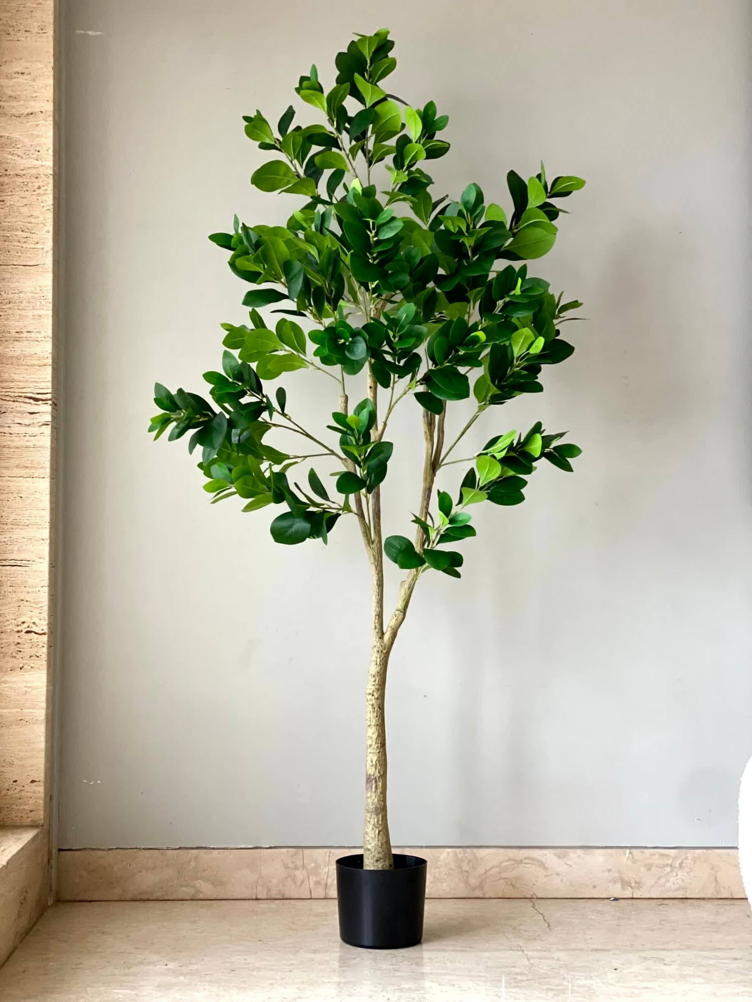 Artificial Lush Peperomia Plant  - 6 Feet