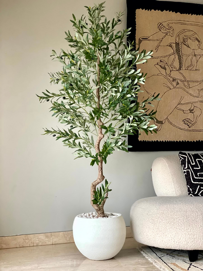 Artificial Evergreen Olive Plant - 6.5 Feet