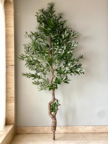 Artificial Evergreen Olive Plant - 6.5 Feet