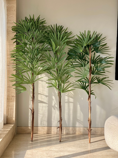 Artificial Rhapis Palm Tree - 6 Feet