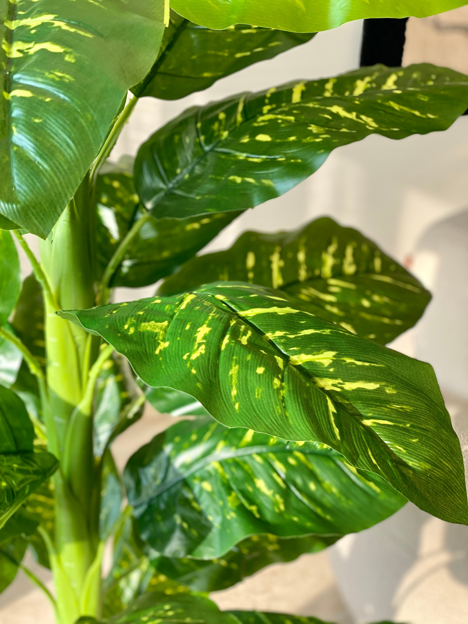 Artificial Golden Pothos Plant - 5.5 Feet