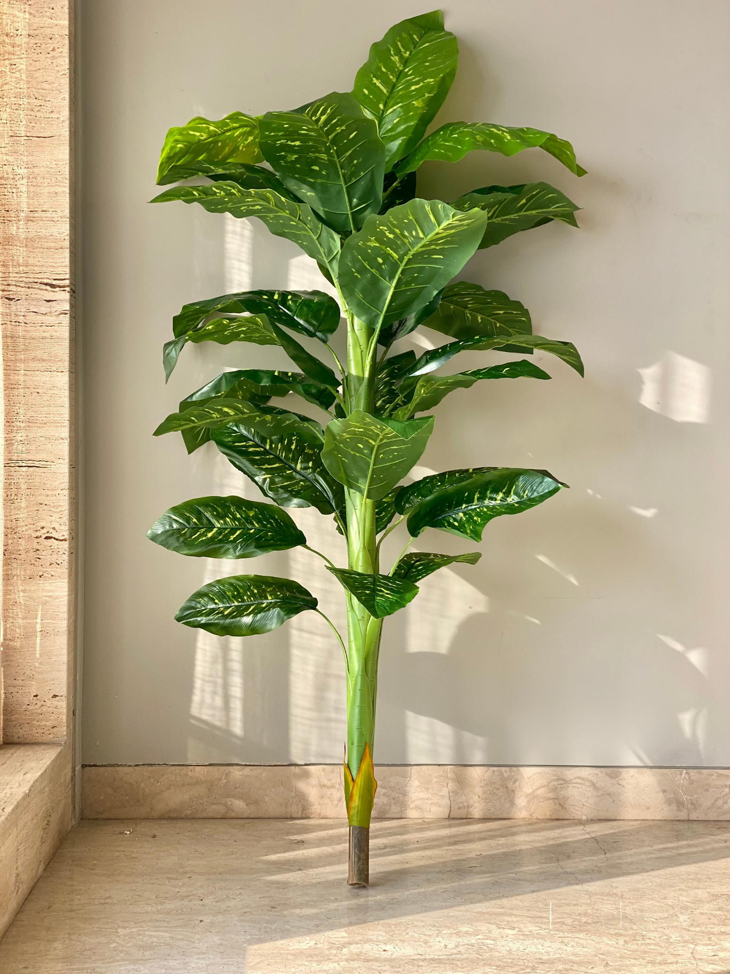 Artificial Golden Pothos Plant - 5.5 Feet