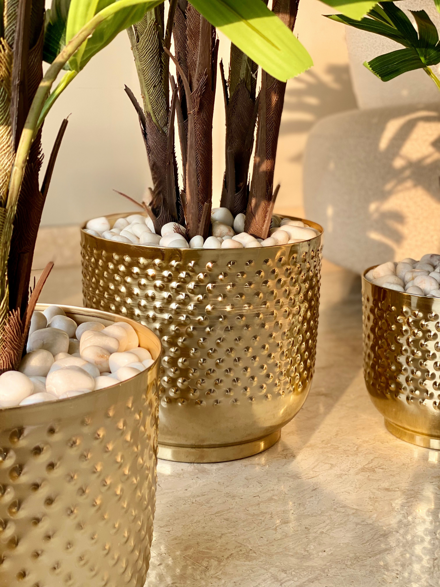 Polka Gold Planters