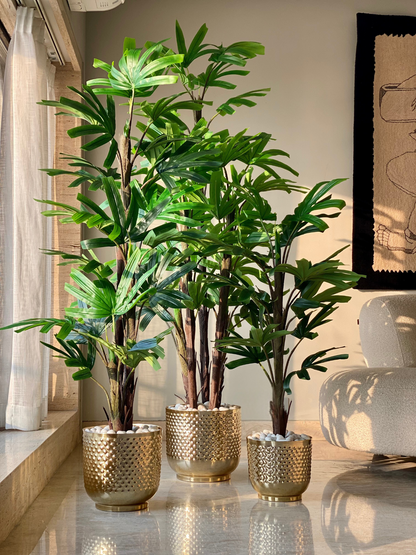 Polka Gold Planters