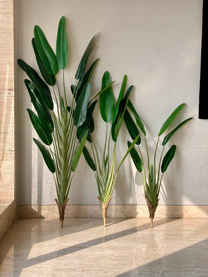 Artificial Slim Travellers Palm Plant - 5.5 Feet