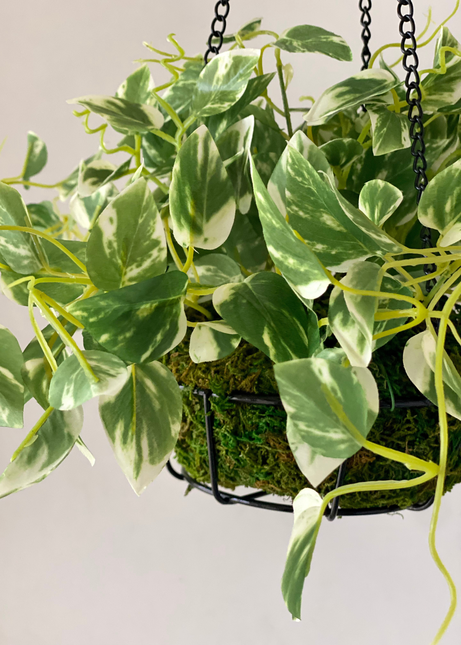 Artificial Trailing Pothos Hanging Plant - 1.7 Feet