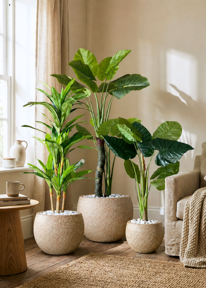 Lithos Planters - Raw Terracotta