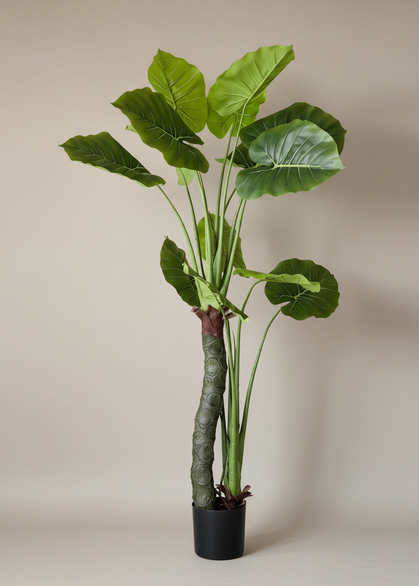 Artificial Evergreen Alocasia Plant - 5 Feet