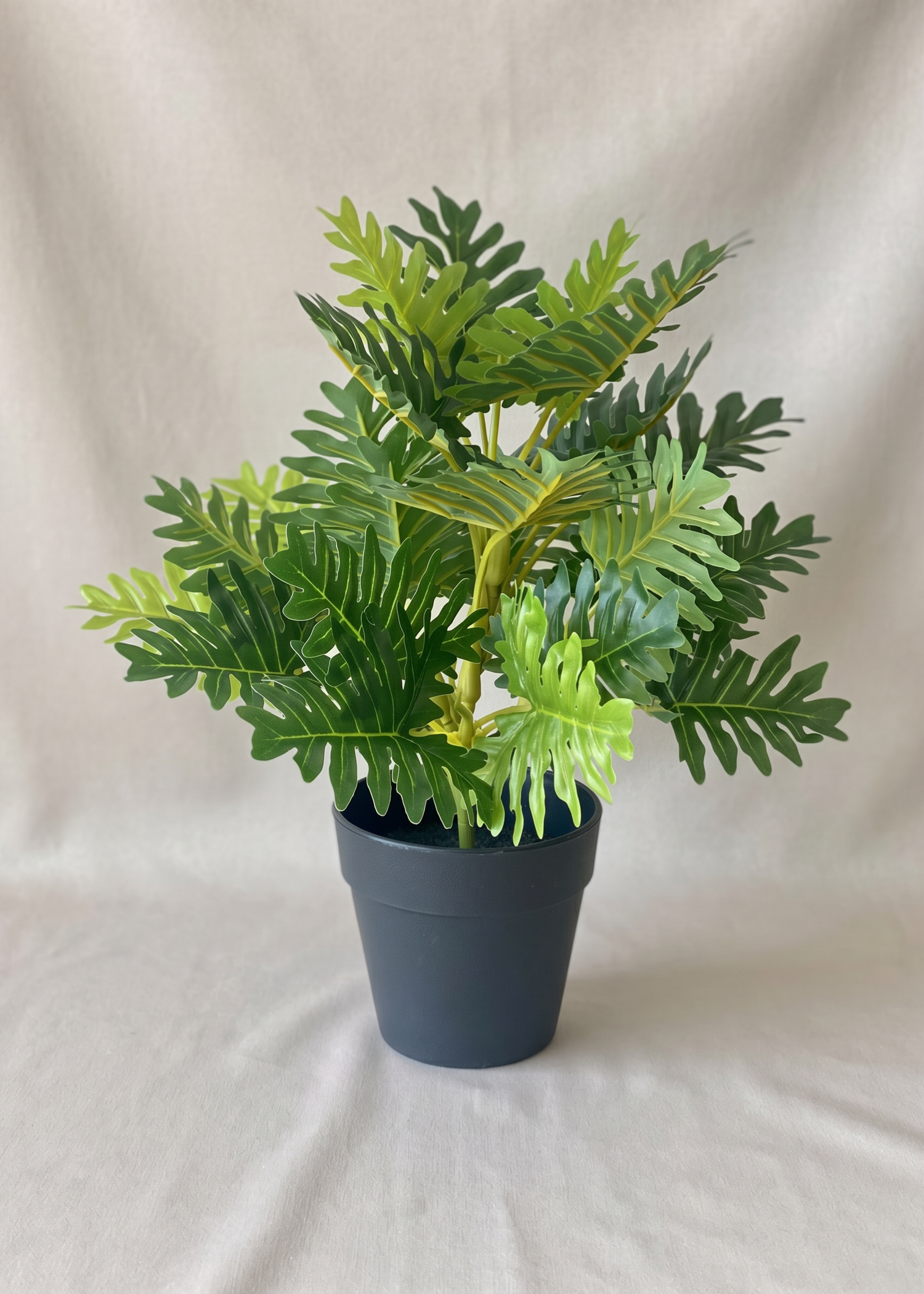 Artificial Bachia Schefflera Plant - 1 Feet