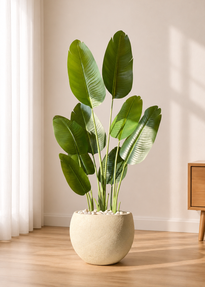 Artificial Cavendish Traveller Plant - 5 Feet