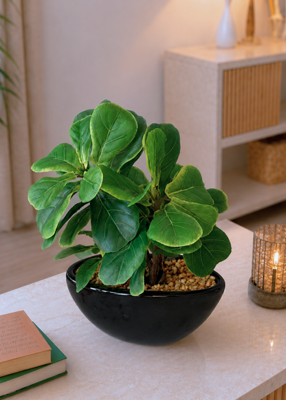 Artificial Fiddle Fig Bonsai Plant -1 Feet