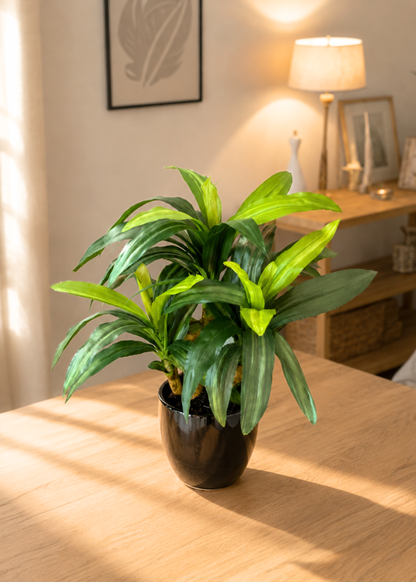 Artificial Dracaena Bonsai Plant - 1 Feet