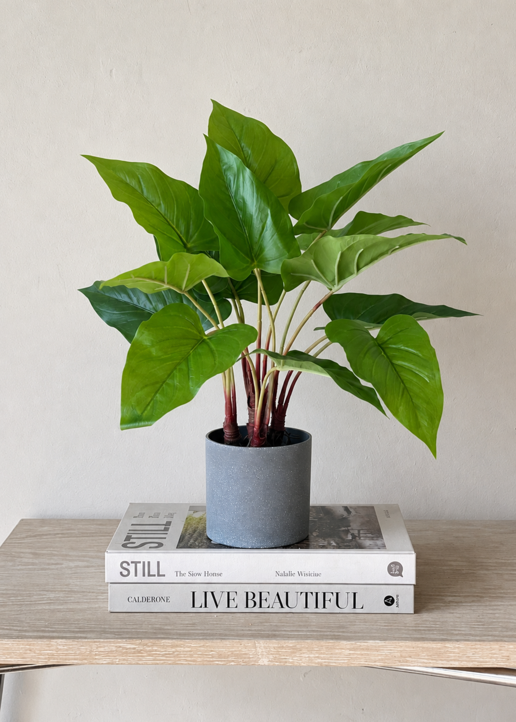 Artificial Green Pothos Plant - 1.5 Feet
