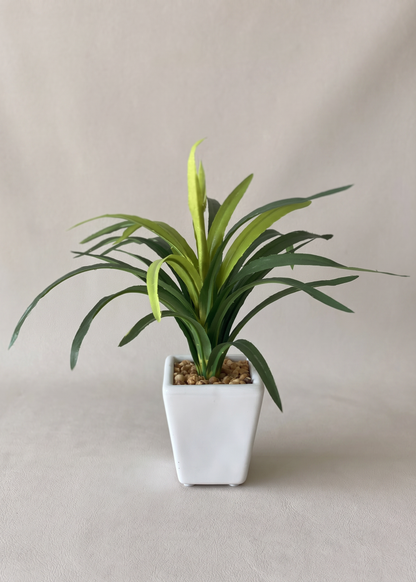 Artificial Tabletop Dracaena Plant