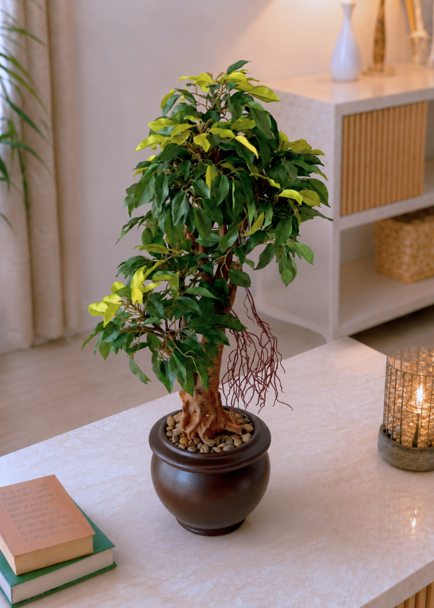 Artificial Regal Ficus Bonsai Plant - 2 Feet