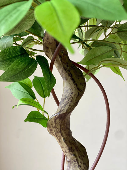 Artificial Banyan Plant - 4 Feet