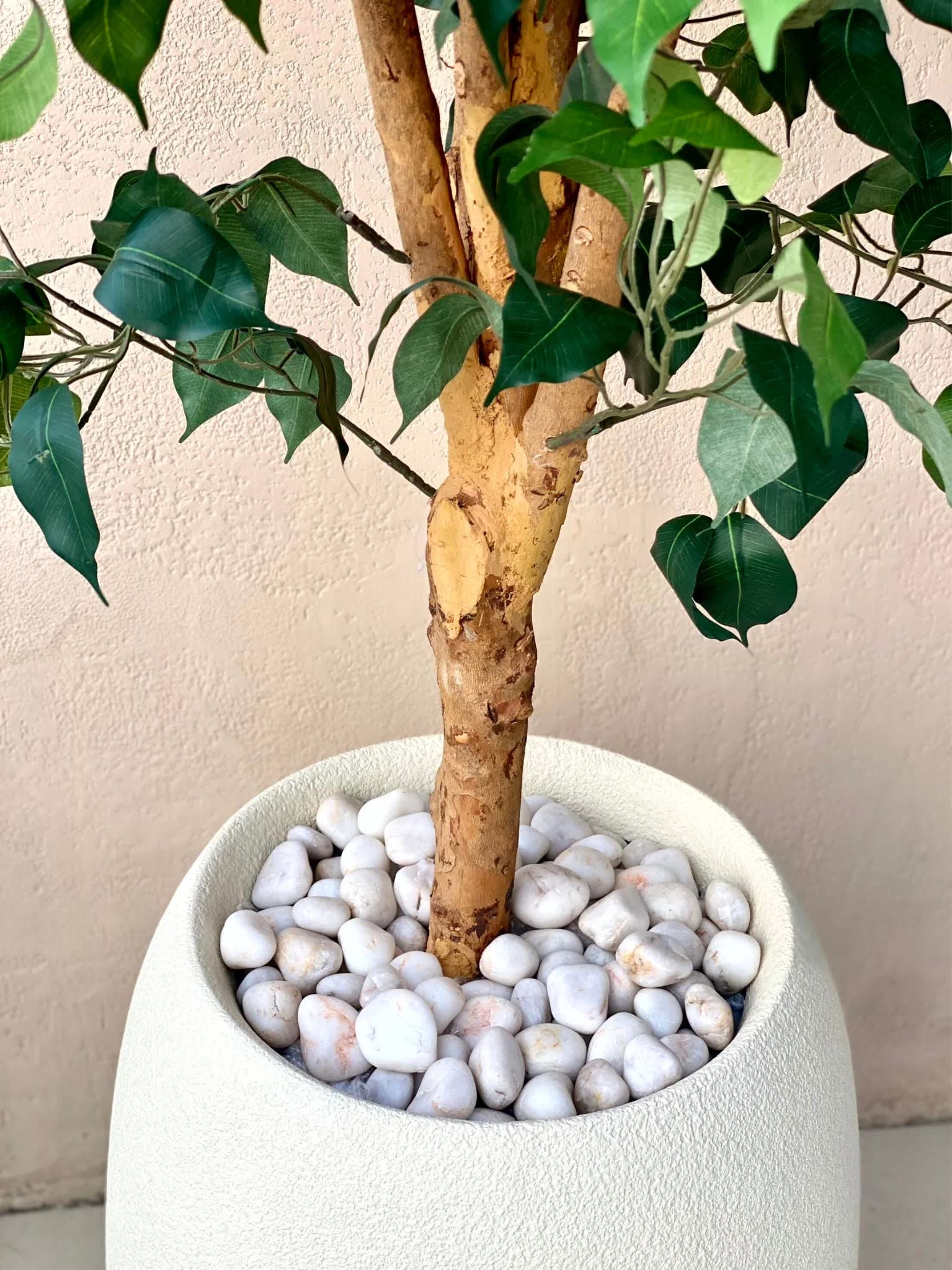 Artificial Ficus Opulence Plant - 9 Feet