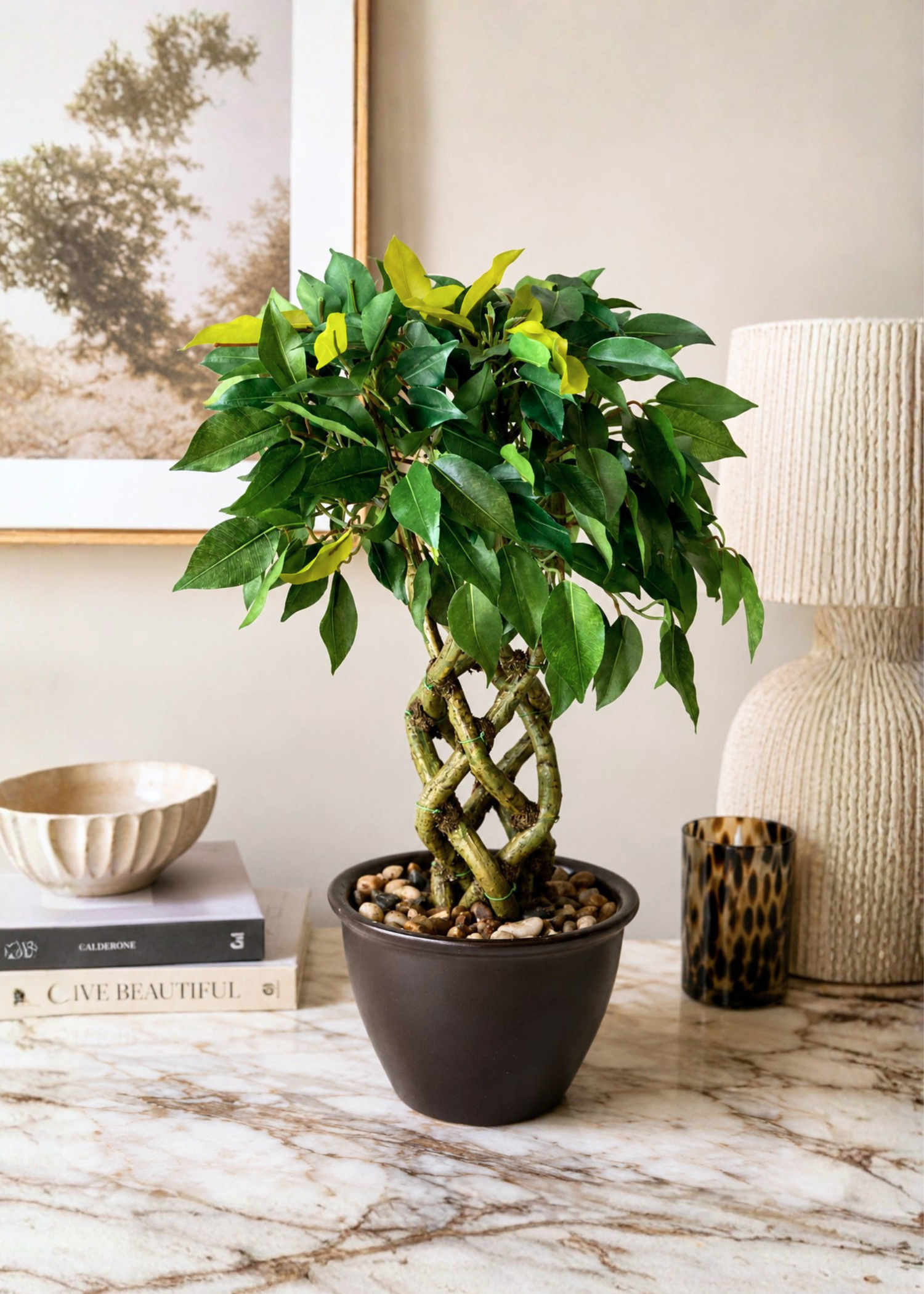 Artificial Ficus Bonsai Plant - 1.3 Feet