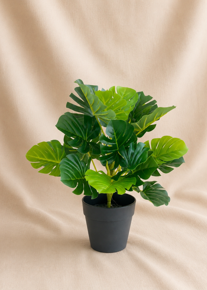 Artificial Bachia Monstera Plant - 1 Feet