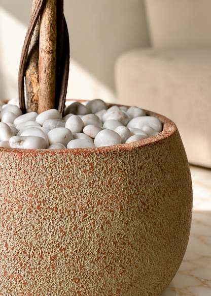 Pebbles – White Polished Stones