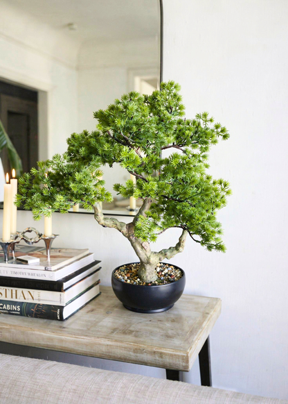 Artificial Shizen Bonsai Plant - 1.5 Feet