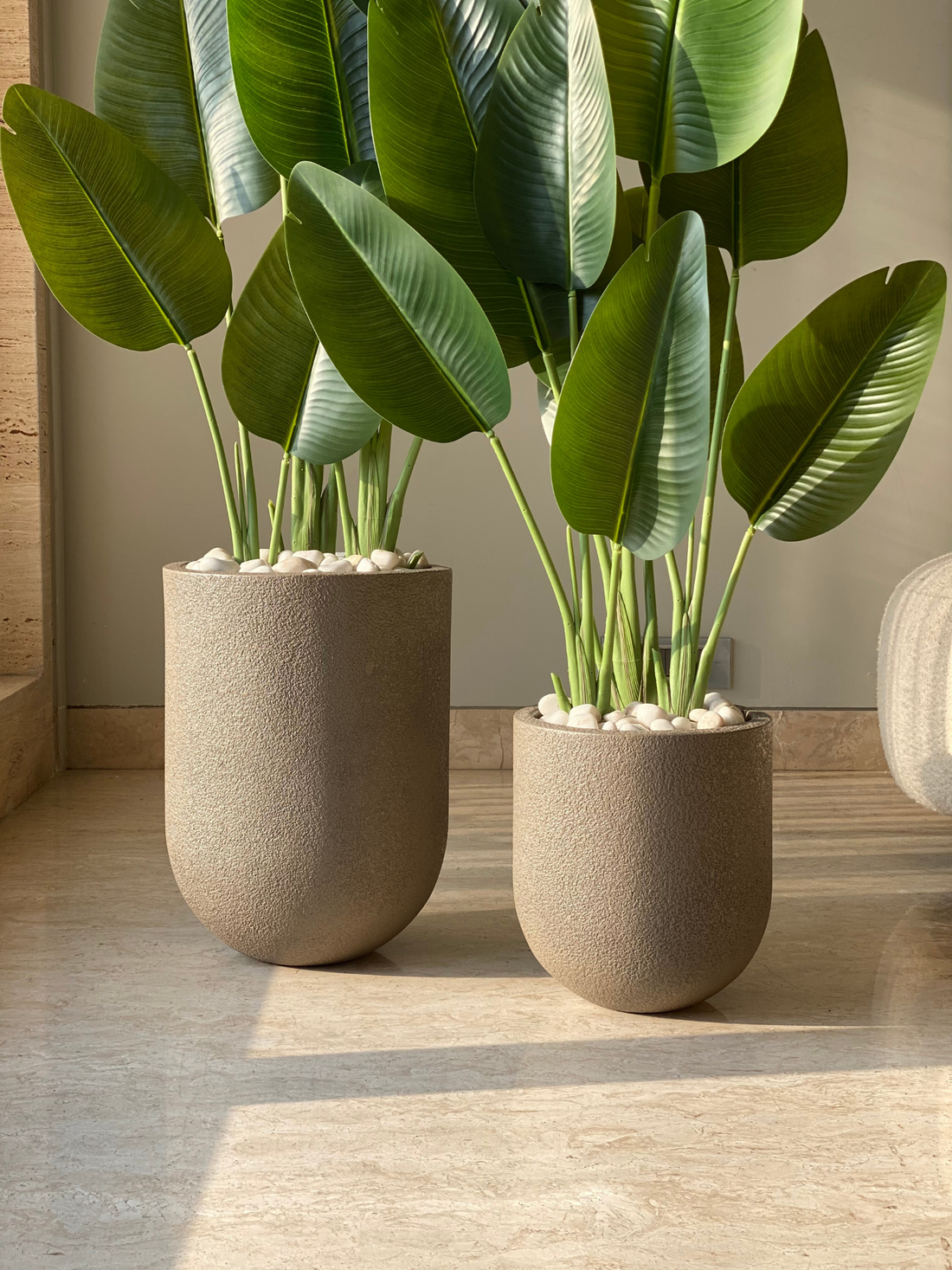Lassa Planters - Mud Brown
